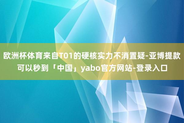 欧洲杯体育来自T01的硬核实力不消置疑-亚博提款可以秒到「中国」yabo官方网站-登录入口
