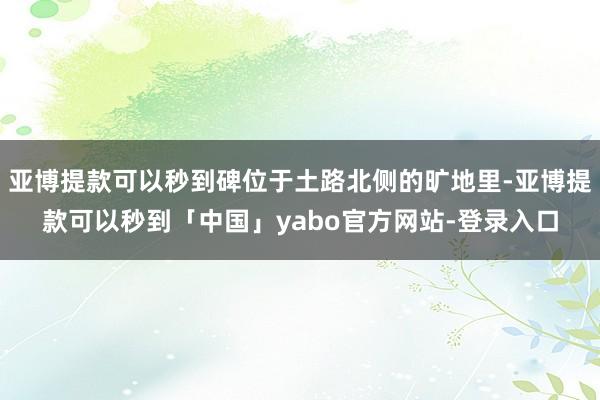 亚博提款可以秒到碑位于土路北侧的旷地里-亚博提款可以秒到「中国」yabo官方网站-登录入口