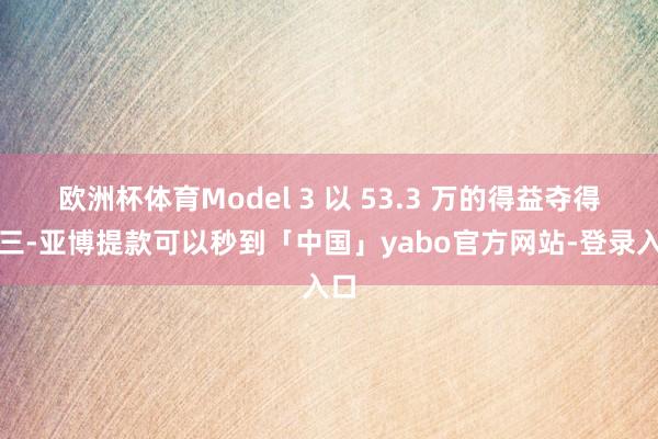 欧洲杯体育Model 3 以 53.3 万的得益夺得第三-亚博提款可以秒到「中国」yabo官方网站-登录入口