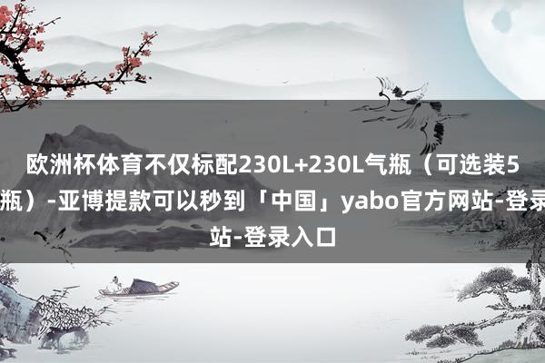 欧洲杯体育不仅标配230L+230L气瓶（可选装50L气瓶）-亚博提款可以秒到「中国」yabo官方网站-登录入口