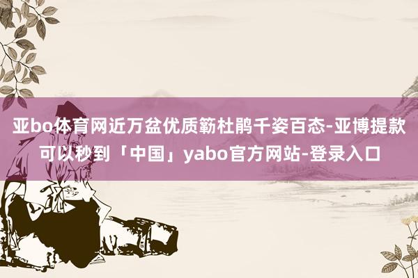 亚bo体育网近万盆优质簕杜鹃千姿百态-亚博提款可以秒到「中国」yabo官方网站-登录入口