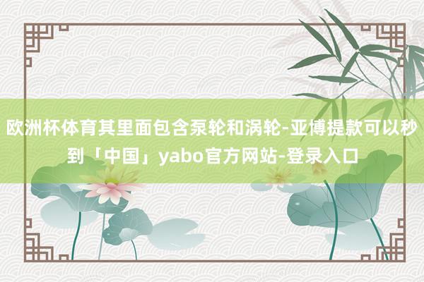 欧洲杯体育其里面包含泵轮和涡轮-亚博提款可以秒到「中国」yabo官方网站-登录入口