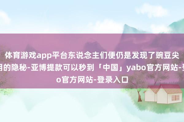 体育游戏app平台东说念主们便仍是发现了豌豆尖不错食用的隐秘-亚博提款可以秒到「中国」yabo官方网站-登录入口